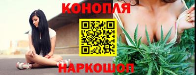 ALPHA PVP Камышлов