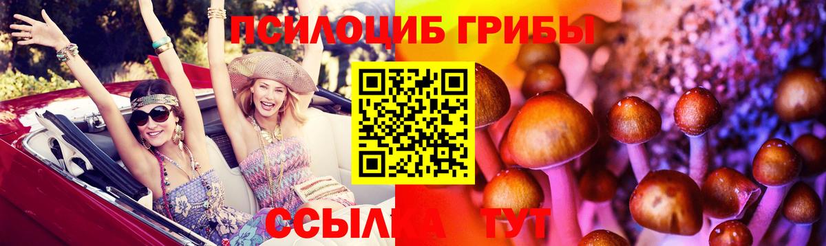 Кропоткин  где купить наркотик  Вход с VPN  Галлюциногенные грибы прущие грибы 
